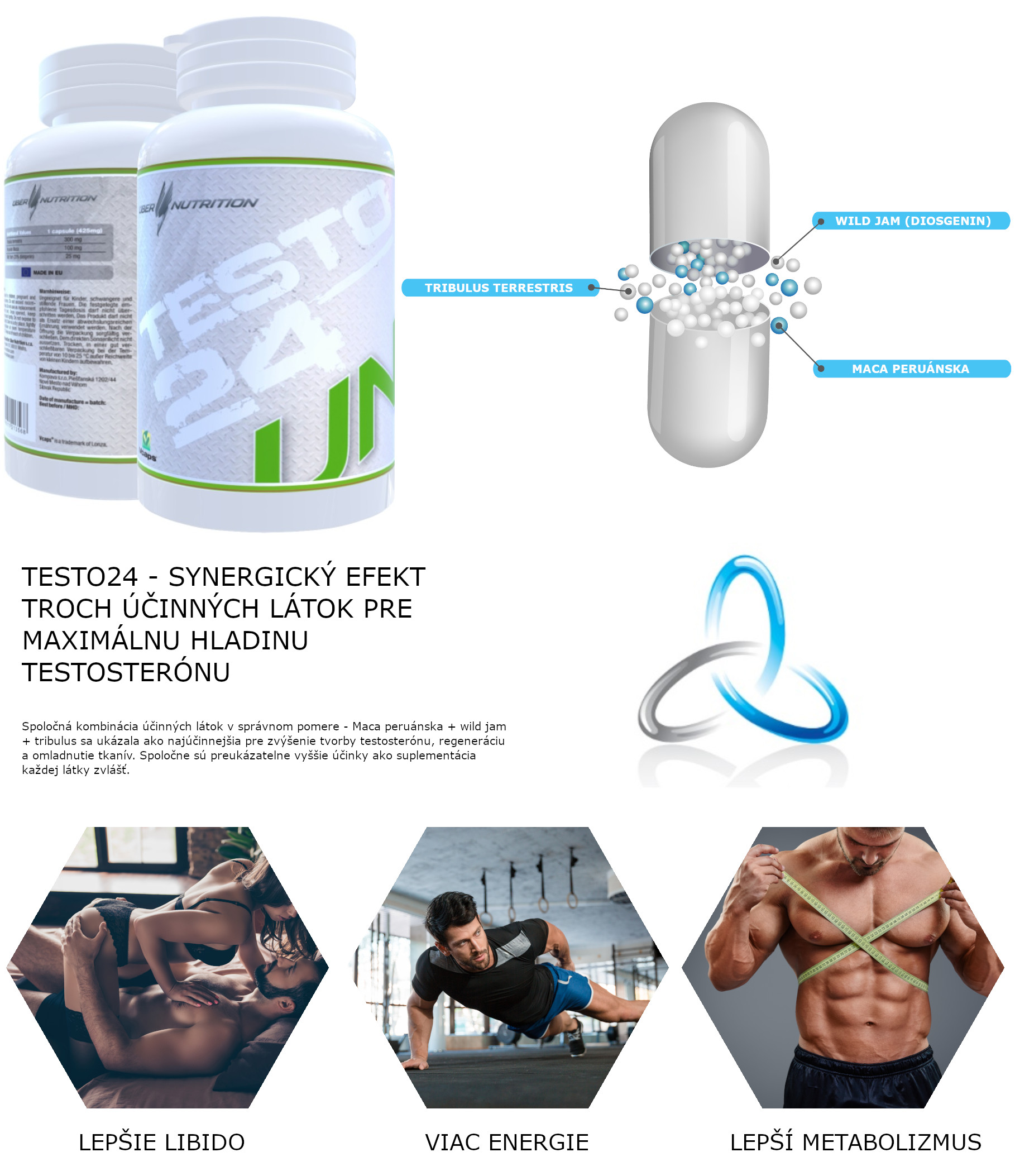 testo24 info3
